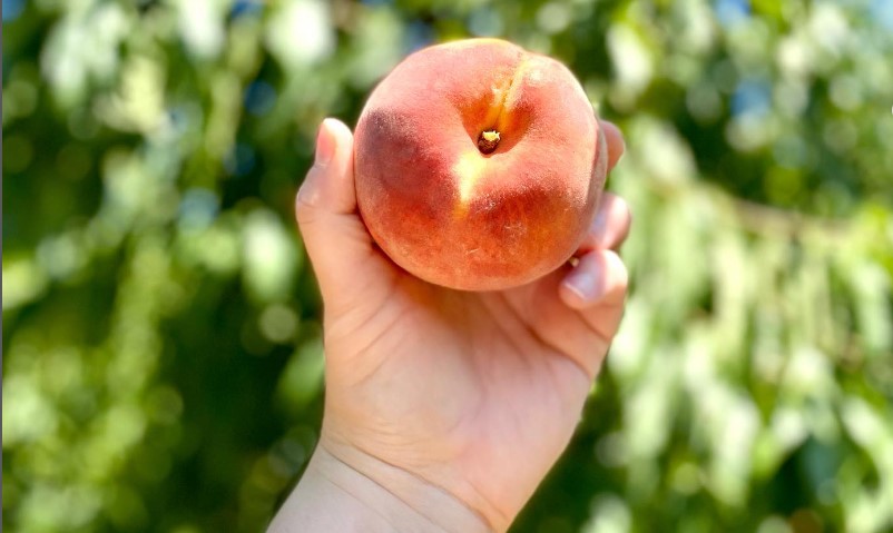 Celebrate Peach Month With A Drink